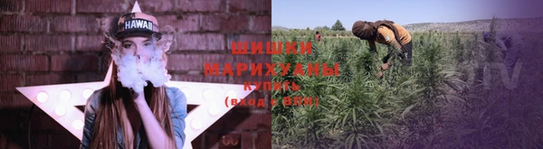 крисы Аркадак