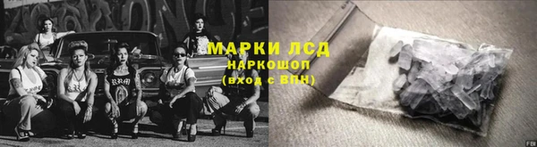 крисы Аркадак