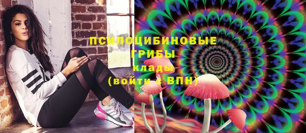 крисы Аркадак