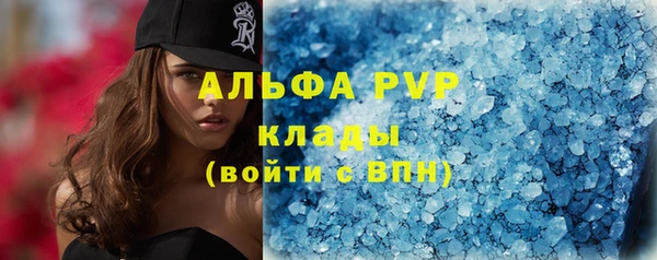 крисы Аркадак