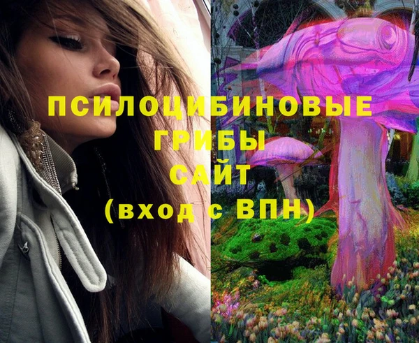 MDMA Premium VHQ Армянск
